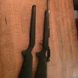 Blaser R8 recherche au sang/traque