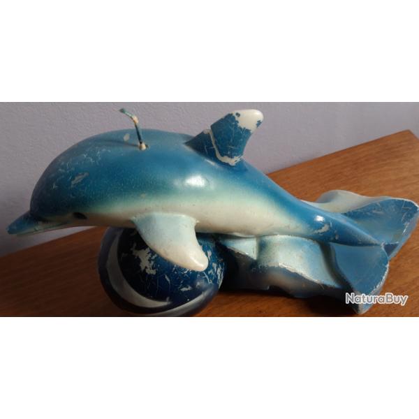 Plusieurs dauphins en rsine