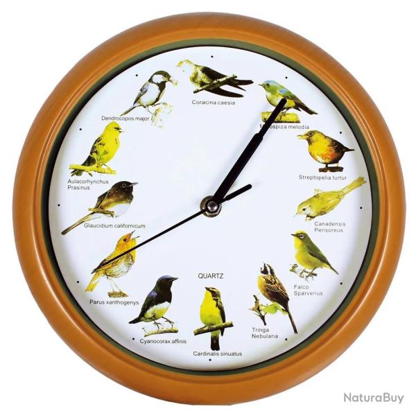Black Friday ! Horloge murale musicale 12 sons de oiseaux 24.5 cm