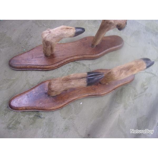 ratelier porte-fusil 2 armes long. 37,8 cm