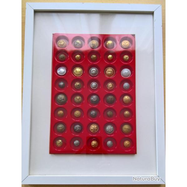 Cadre collection boutons militaires Fran�ais