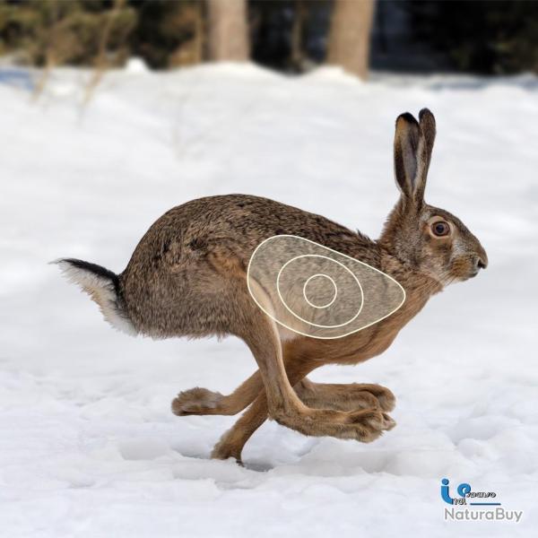 Blason 2D Ital Espanso Livre