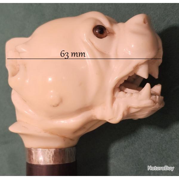 Superbe canne ancienne , pommeau magnifique chien boxer