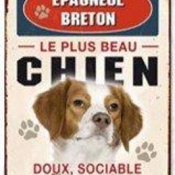 Plaque m&eacute;tal chien Epagneul Breton LOVERGREEN