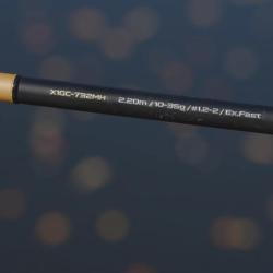 Canne Casting Favorite X1 Gold 2 10-35g 2m20
