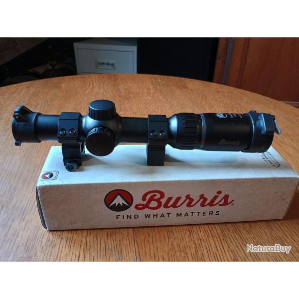 LUNETTE DE BATUUE BURRIS