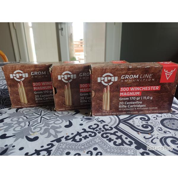Munitions PARTIZAN GROM 170gr-11.0G calibre 300  WIN MAG