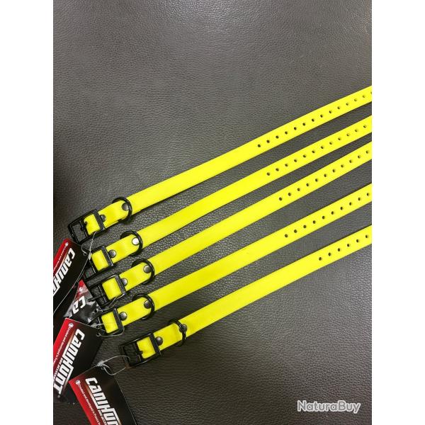 LOT 5 COLLIERS CANIHUNT CTECH 45cm