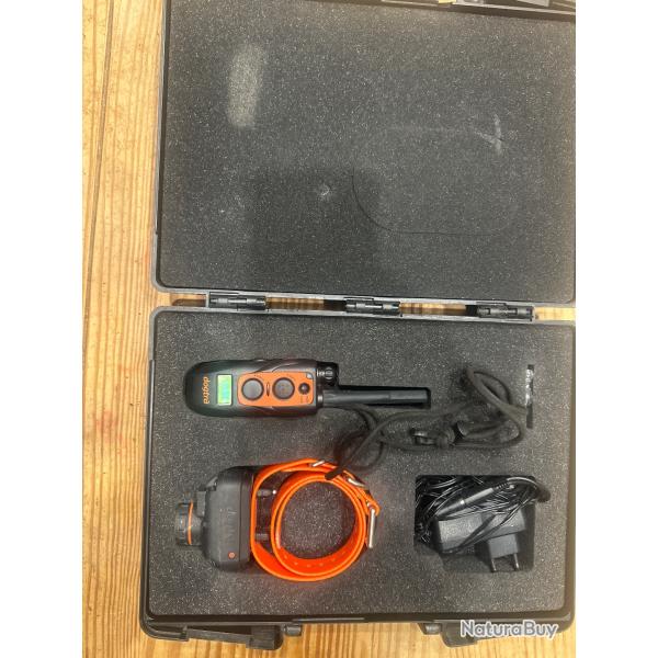 Dogtra 2600 T&B Collier de Dressage et Rep�rage,
