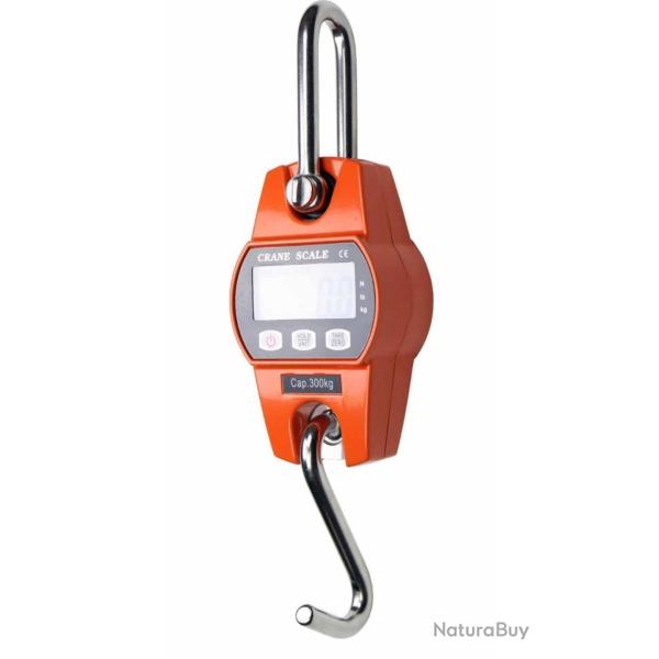 Peson lectronique 300 kilos