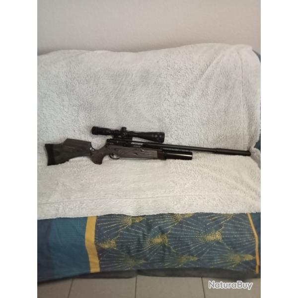 BSA R-10 SE CCS PCP 5,5