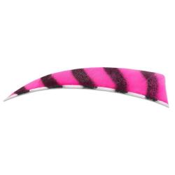 BUCK TRAIL - Plumes Naturelles Shield 4" RH Barred BARRED DENIM BLUE