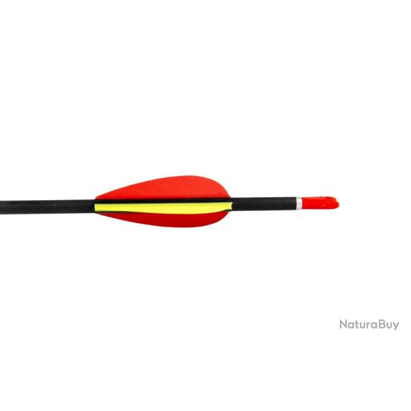 AVALON - Flche Carbone TYRO 4.2 V2 2000 BLEU-ROUGE