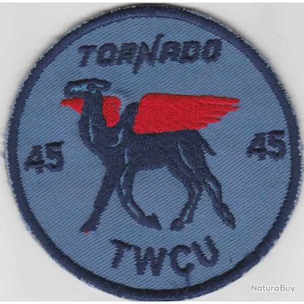 45 TWCU RAF   ( Ecusson et Epinglette )