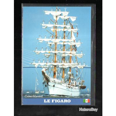 Les Grands Voiliers Cuauhtemoc Mexique 3 Mats Barque Cpm1975 Navire 