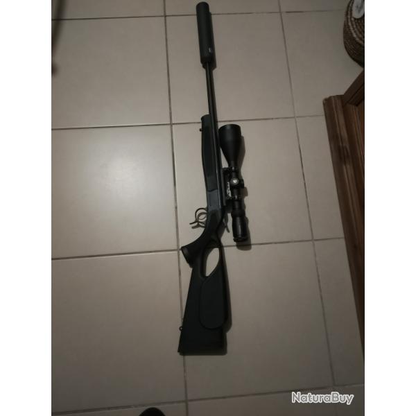 Carabine bergara 308