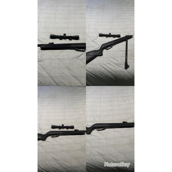 Carabine a plomb Gamo Blackbear