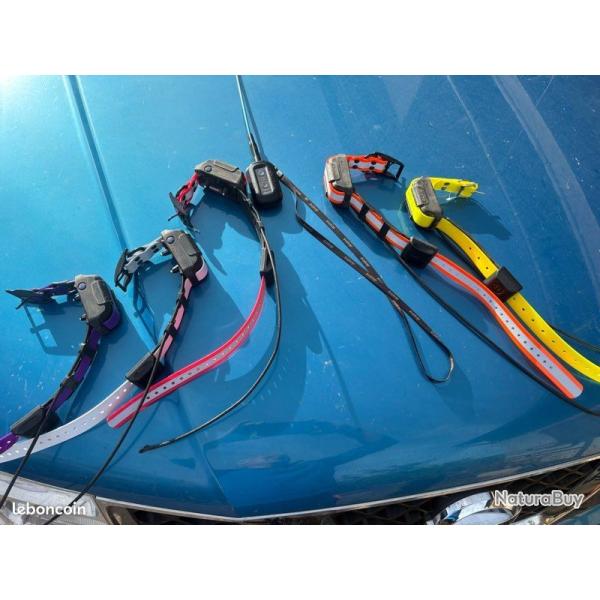 COLLIER DOGTRA PATHFINDER