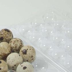 Boites &agrave; oeufs de caille plastique 18 oeufs lot de 125
