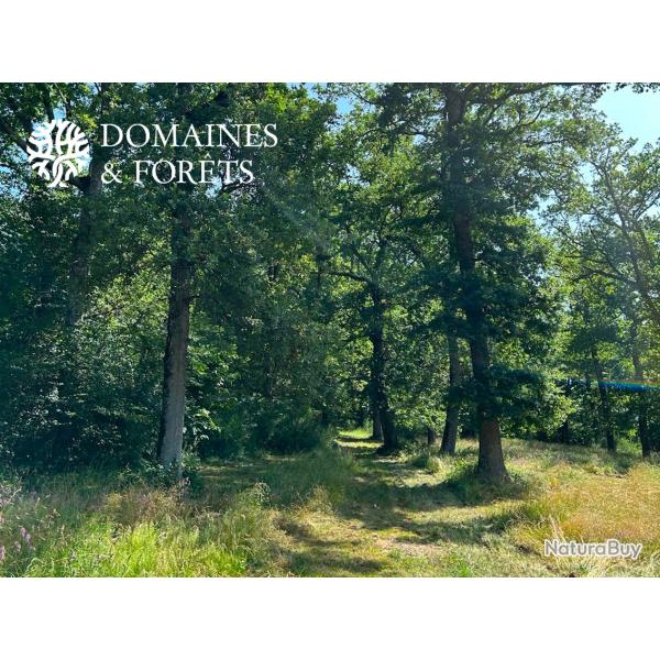 Massif forestier en Haute-Garonne de 26 hectares DF-631-A
