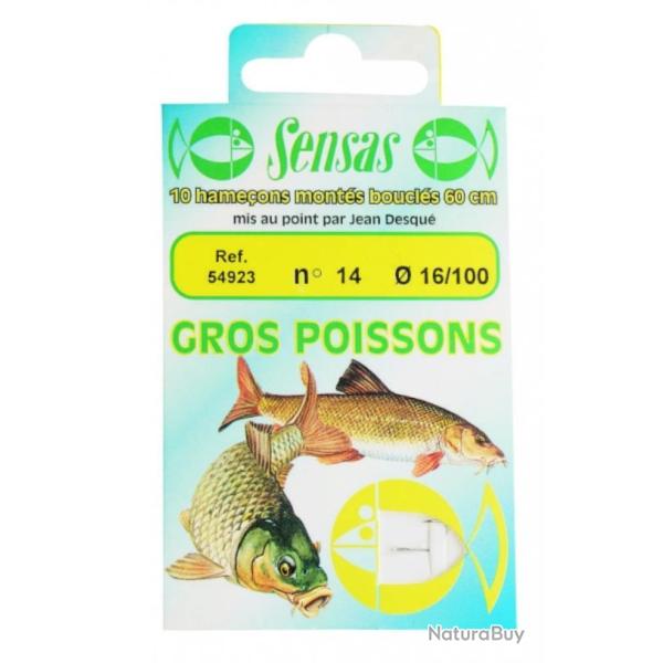 HAMECON MONTES GROS POISSONS - 16/12 - SENSAS