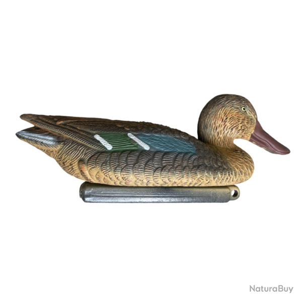 APPELANT SOUCHET FEMELLE - 