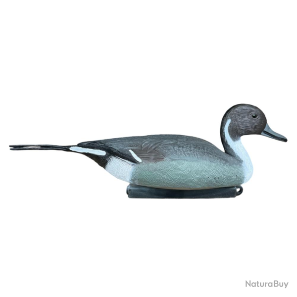 APPELANT PILET MALE - 