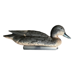 APPELANT PILET FEMELLE - 