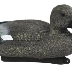 APPELANT CHIPEAU MALE - 