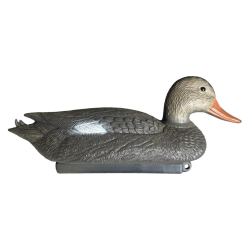 APPELANT CHIPEAU FEMELLE - 