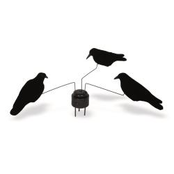 MANEGE A CORBEAUX X3 - 