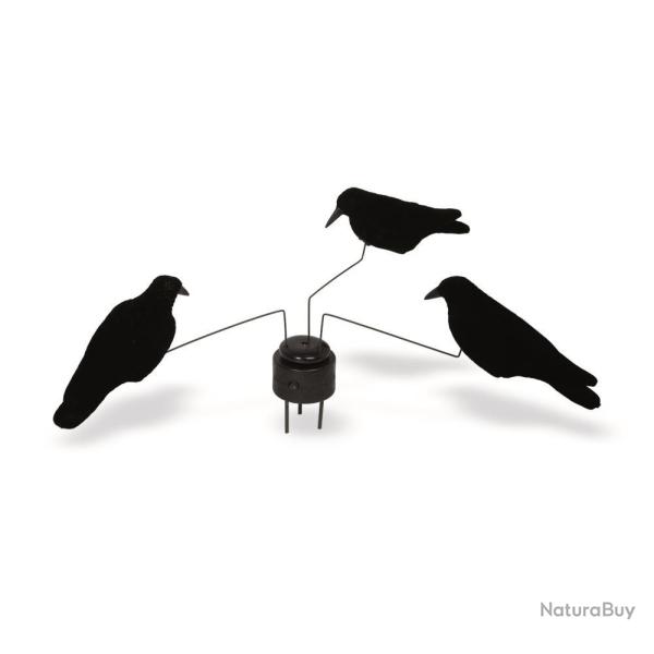 MANEGE A CORBEAUX X3 - 