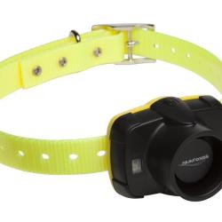 SONAILLON CANIBEEP 5 - NUM'AXES EDUCATION