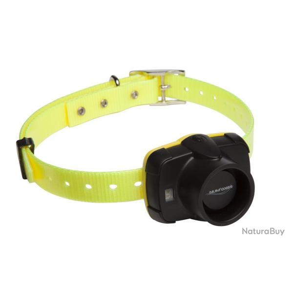 SONAILLON CANIBEEP 5 - NUM'AXES EDUCATION