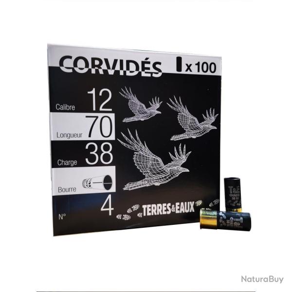 PACK EXTREM 38 12 70 38G BJ X100 N