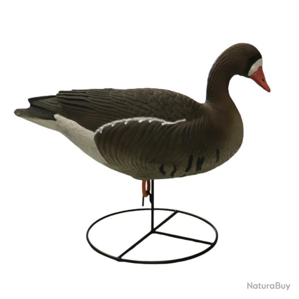 APPELANT OIE RIEUSE HD SUR PIED - 