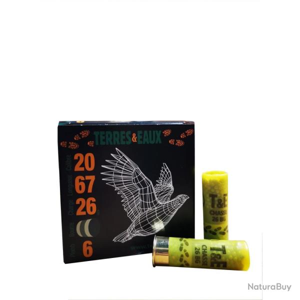 CARTOUCHES T E 20 67 26G BG X25 N