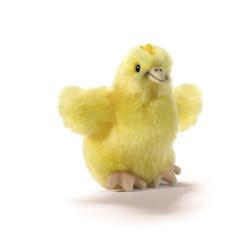 PELUCHE POUSSIN 10CM - ANIMA