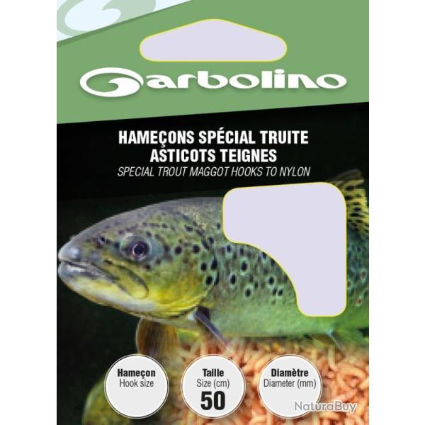 HAMECON MONTE TRUITE ASTICOTS TEIGNES - 14/14 - GARBOLINO