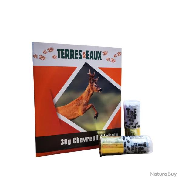 CARTOUCHES T&E 12/39 N1+2 X10 - 