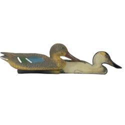 APPELANT SOUCHET FEMELLE MOUSSE - 