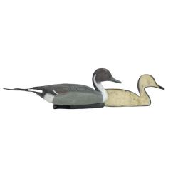 APPELANT PILET MALE MOUSSE - 