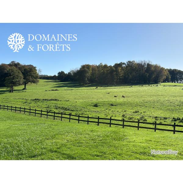 Domaine Agricole et Naturel � potentiel Cyn�g�tique dans la Vienne (86) d'environ 48 hectares DF-635