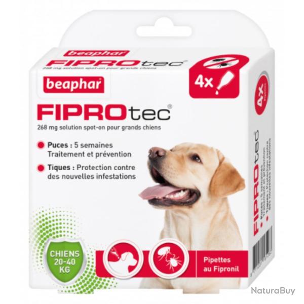 PIPETTES FIPROTEC GRAND CHIEN X4 - BEAPHAR