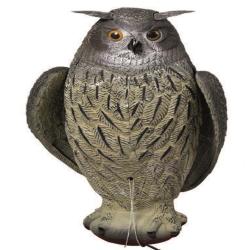 APPELANT GRAND DUC AILE BATTANTE - 