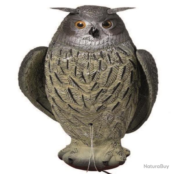 APPELANT GRAND DUC AILE BATTANTE - 