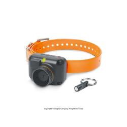 SONAILLON BEEPER DOGTRA STB BEEP - H (BEEP AIGU) - DOGTRA