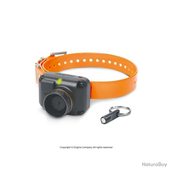 SONAILLON BEEPER DOGTRA STB BEEP - H (BEEP AIGU) - DOGTRA