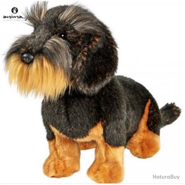 PELUCHE TECKEL A POIL DUR ASSIS - ANIMA