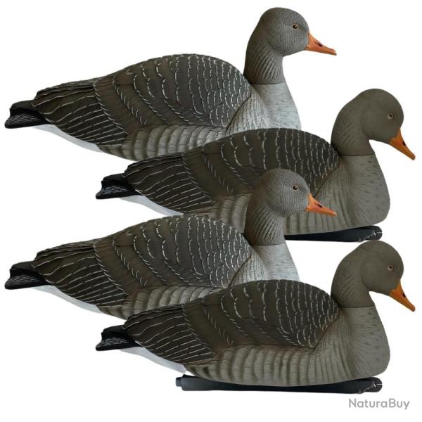 APPELANT OIE CENDREE FLOTTANTE PG X4 - GREENHEAD